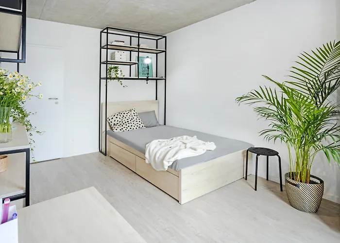 Milestone Olbin 3* فروتسواف